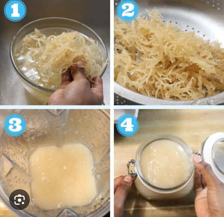 Premium Sea Moss Collection