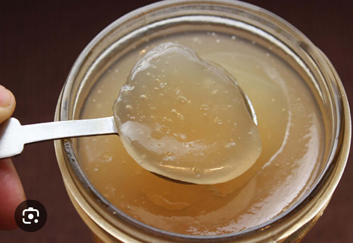 Sea Moss Gel Elderberry nutritional superfood close-Up