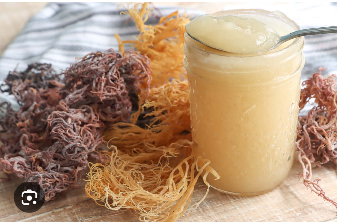 Premium Sea Moss Gel with coconut water ingredients