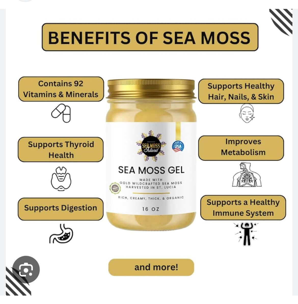 Premium Sea Moss Gel with coconut water ingredients