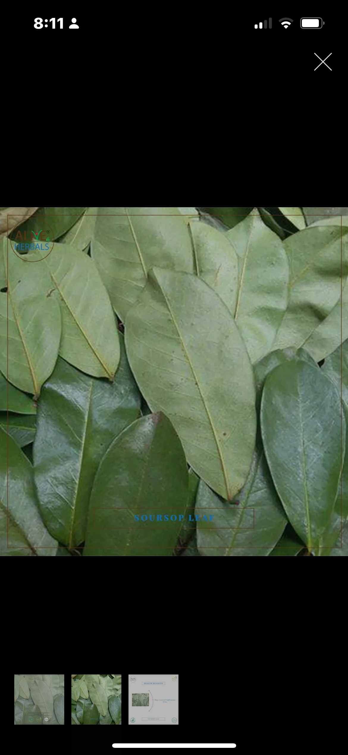 SourSop Leaf Live Plant