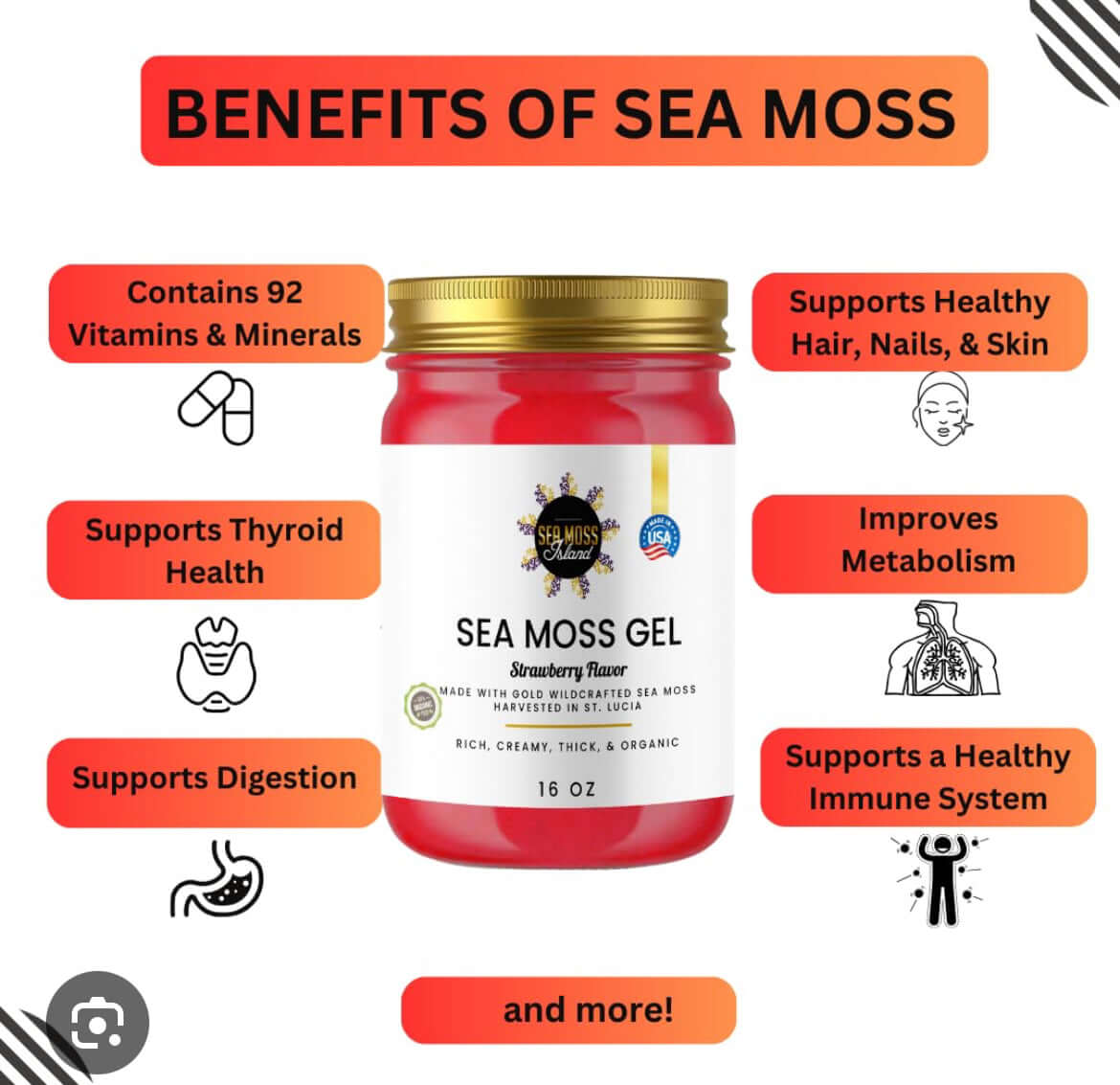 Sea Moss Gel Elderberry ready to use in smoothie