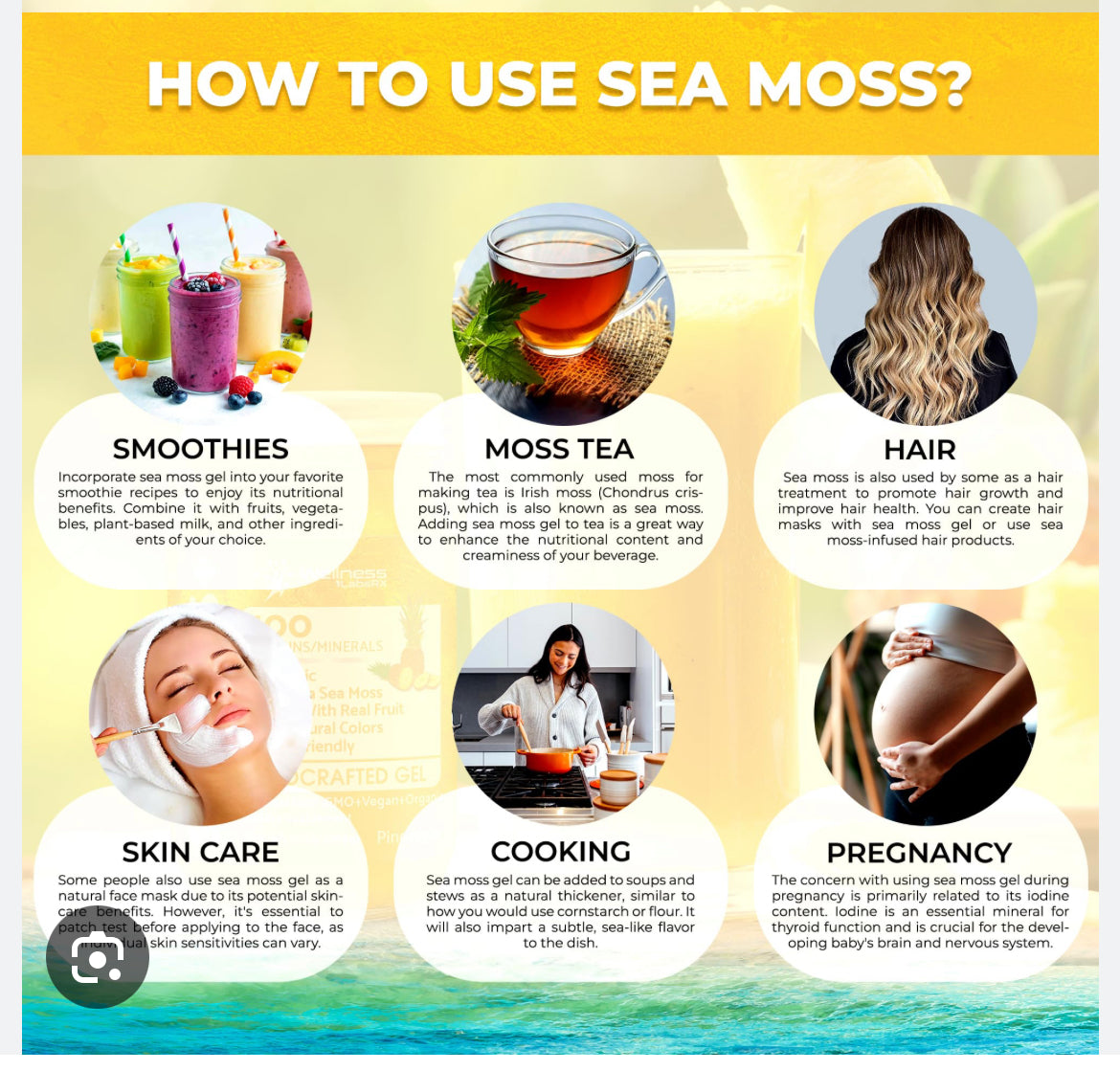 Custom Sea Moss Complete Set - Choose Your Options