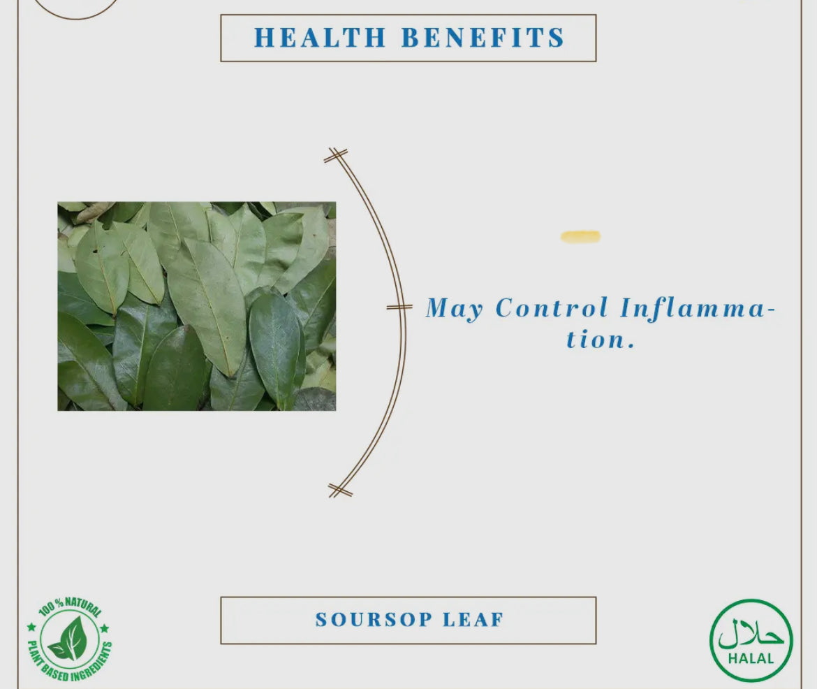 SourSop Leaf Live Plant
