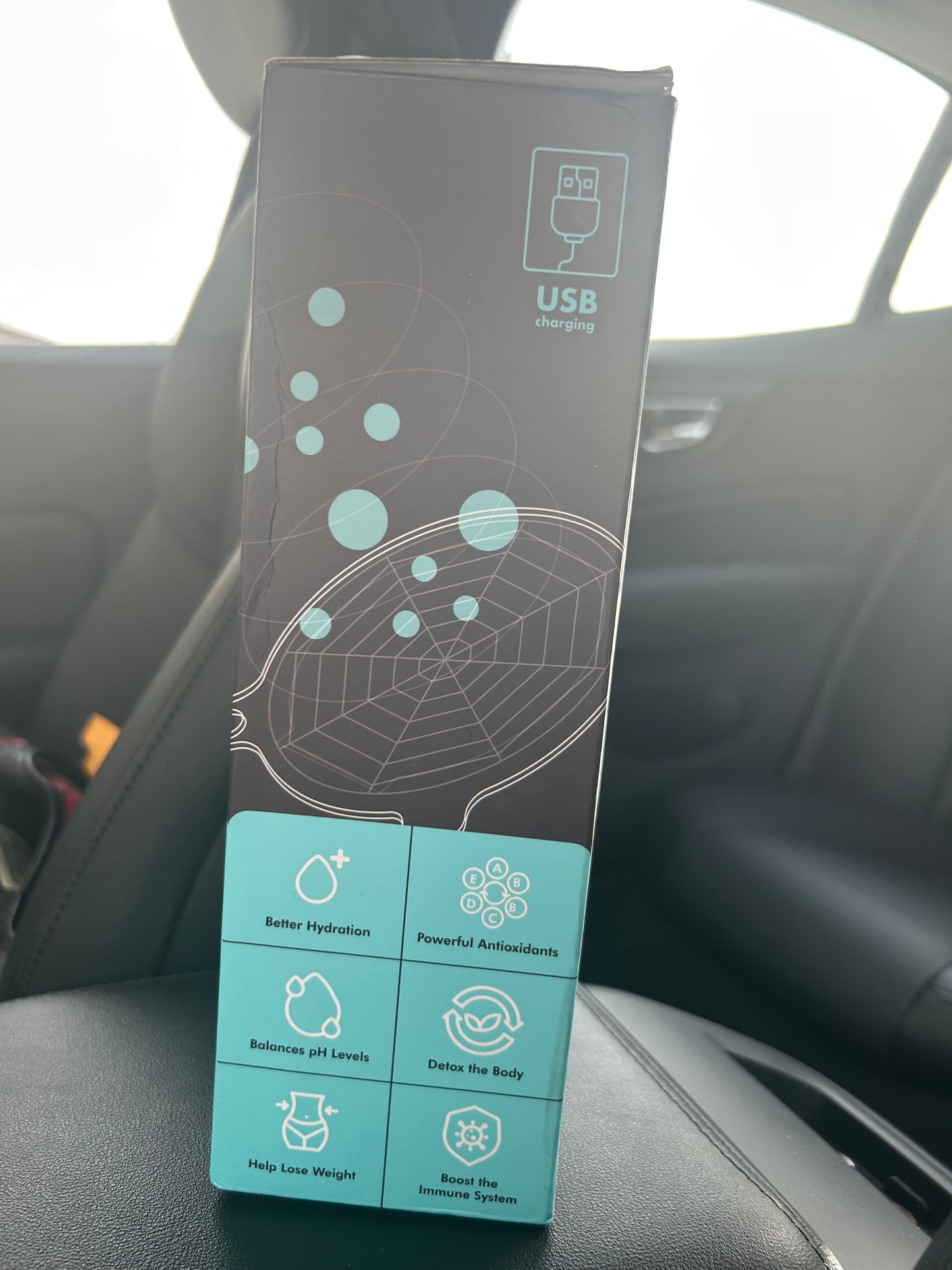 Alkaline water bottle