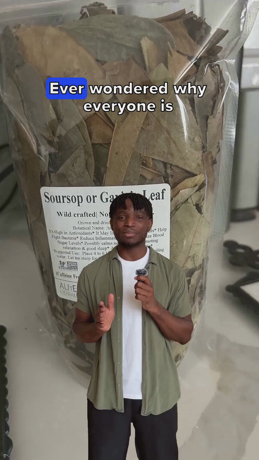 Soursop Leaf Live Plant 3 Oz